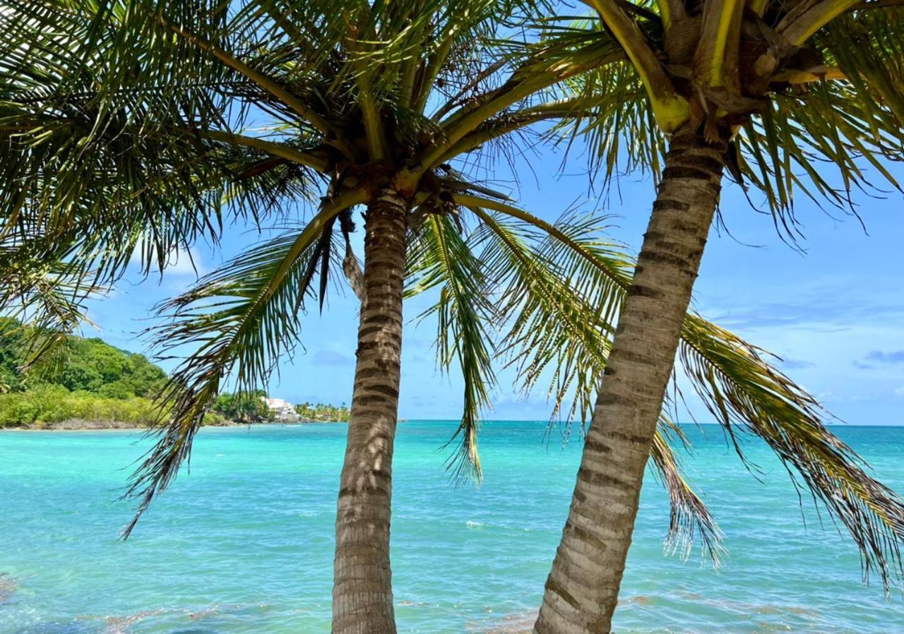 Jolie petite Villa sur une presqu’île Le Gosier  Extérieur photo