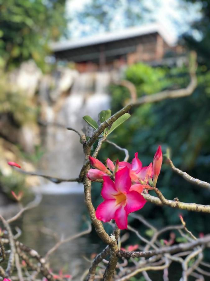 Jolie petite Villa sur une presqu’île Le Gosier  Extérieur photo