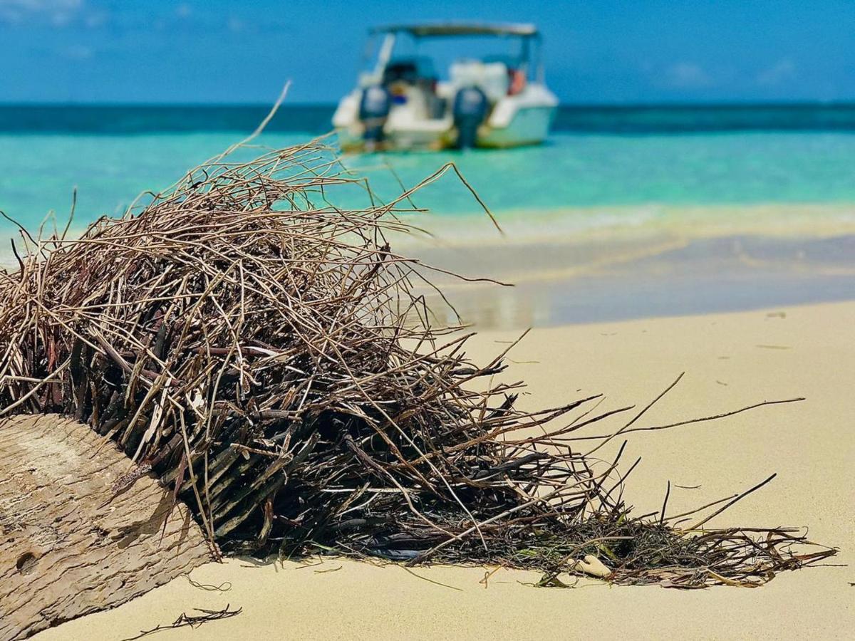 Jolie petite Villa sur une presqu’île Le Gosier  Extérieur photo