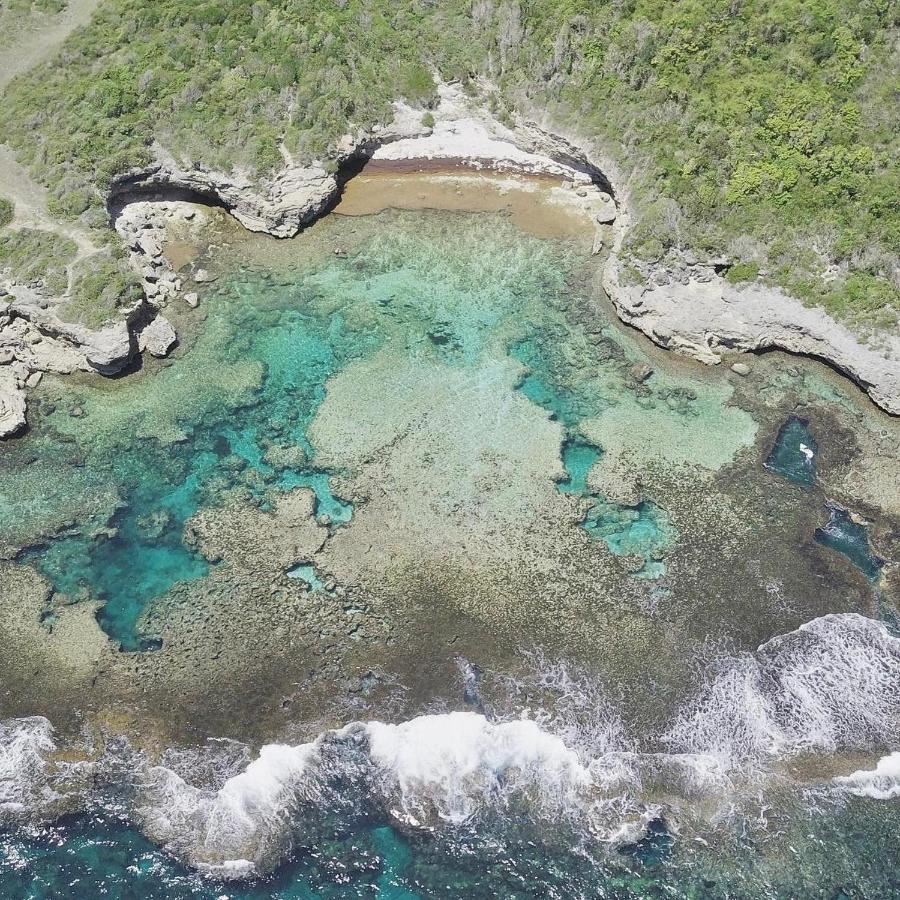 Jolie petite Villa sur une presqu’île Le Gosier  Extérieur photo